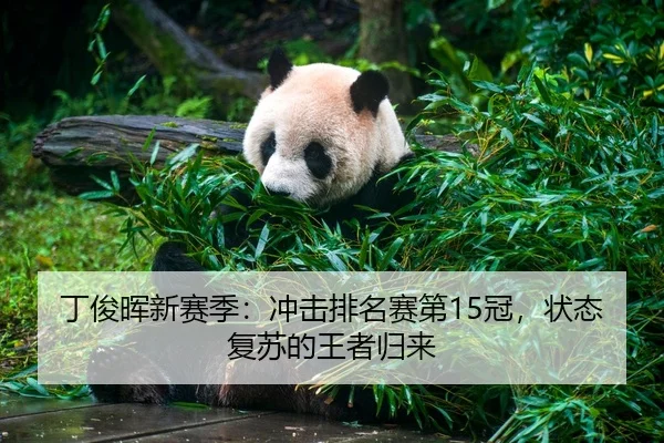 丁俊晖新赛季：冲击排名赛第15冠，状态复苏的王者归来